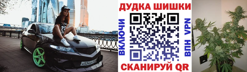 мега ТОР купить наркотик Чкаловск Канабис сатива